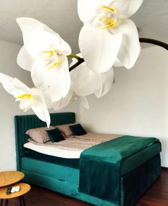 Zeid City Center Apartment Sarajevo Bagian luar foto